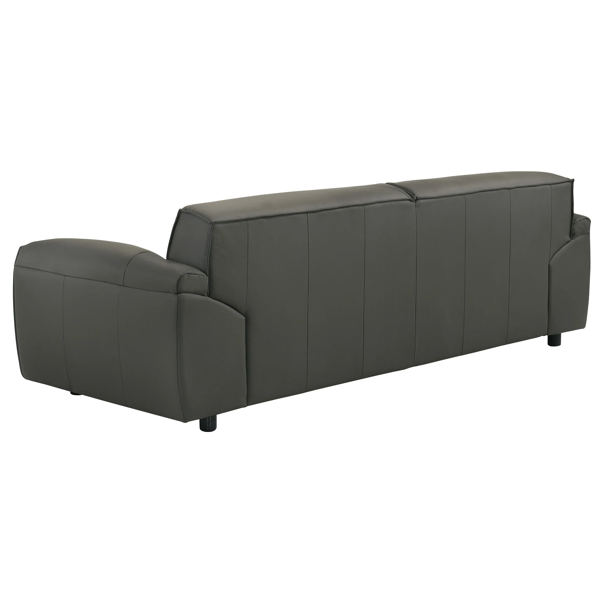 Buxton Leather Upholstered Sofa Set - Image 12