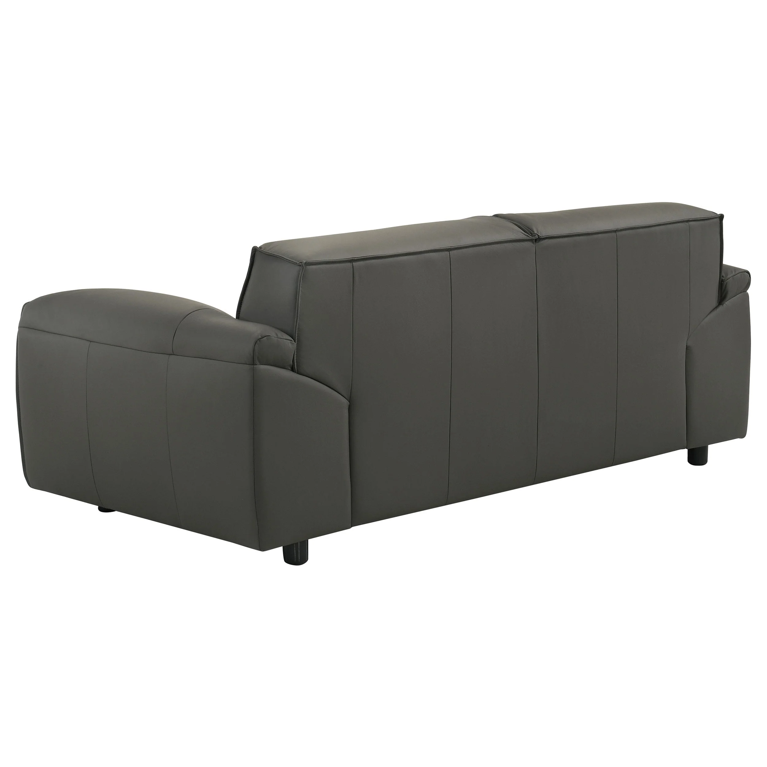 Buxton Leather Upholstered Sofa Set - Image 22